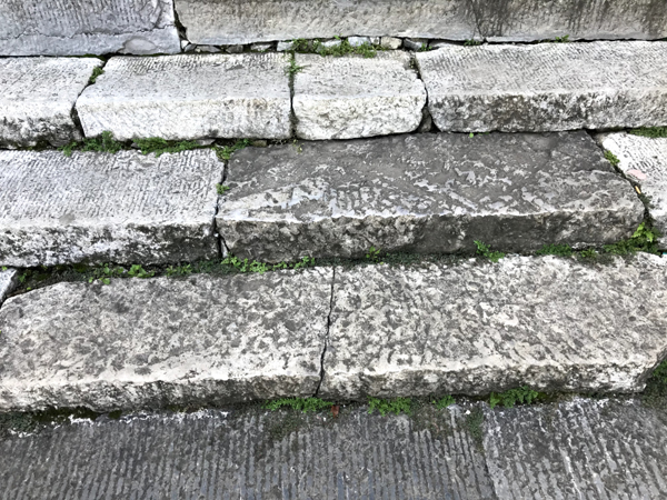 1603889865344062.jpg 006.jpg